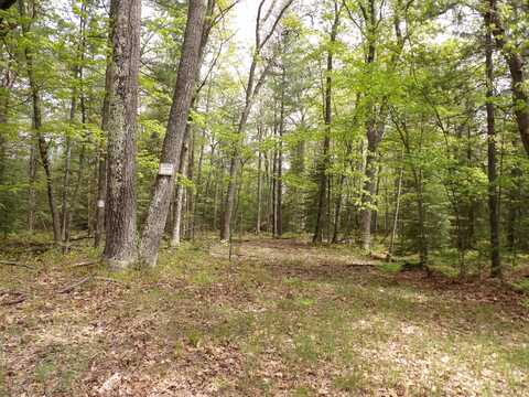 Lot 10 Club Road, Saint Helen, MI 48656