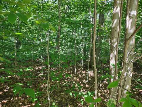 lot #155 Twin Peaks Road, Grayling, MI 49738