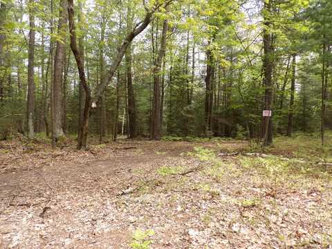 Lot 9 Club Road, Saint Helen, MI 48656