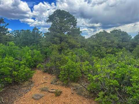 106 Colorado Land and Grazing, Walsenburg, CO 81089