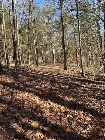 Lot 2 Lower River Road NW, Charleston, TN 37310