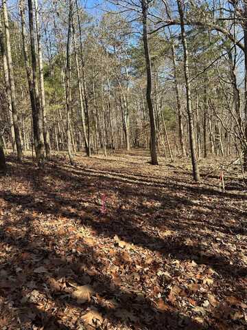 Lower River Road NW lot: 2, Charleston, TN 37310