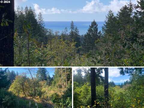 Duley Creek, Brookings, OR 97415