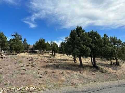 9-1/90 Wildhorse Road, Weed, CA 96094