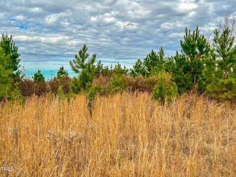 40 Acres Thomas Humphries Road, Roxboro, NC 27574