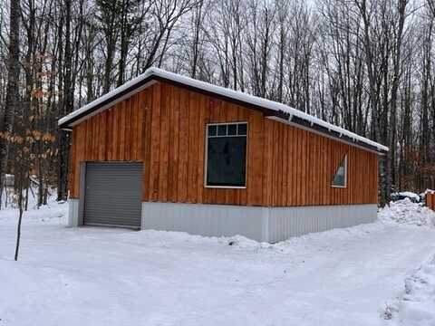 16022 Timber Line Drive, Wolverine, MI 49799