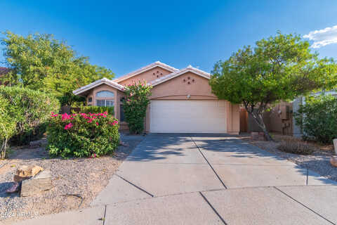 Longmore, CHANDLER, AZ 85224