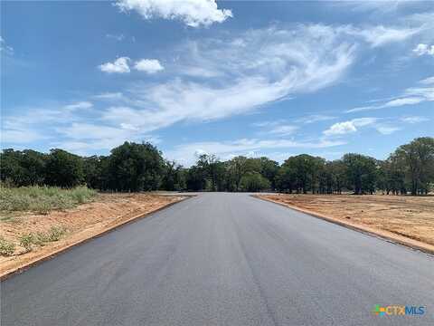Grace Ln, Dale, TX 78616