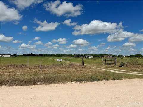 Engleman Garden Road, Monte Alto, TX 78538