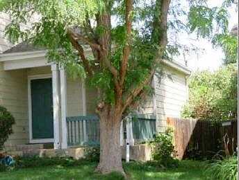 Kenyon, DENVER, CO 80236