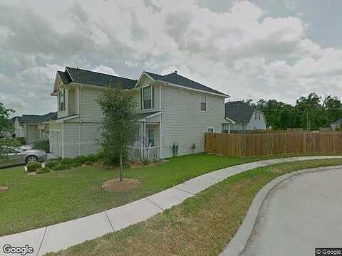 Palm Leaf, HOUSTON, TX 77044