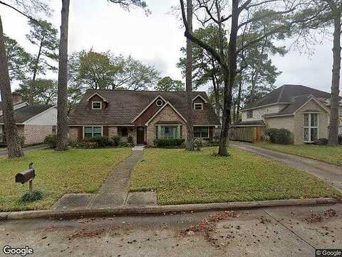 Rhine, HOUSTON, TX 77090