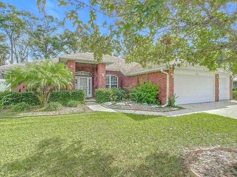 Elkhorn Fern, DELAND, FL 32720