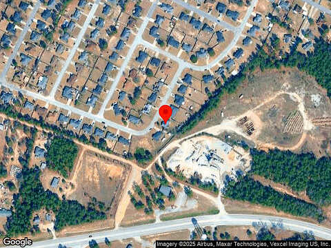 Smoketree, AUGUSTA, GA 30906
