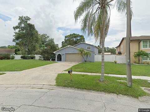 Greenshire, TAMPA, FL 33634