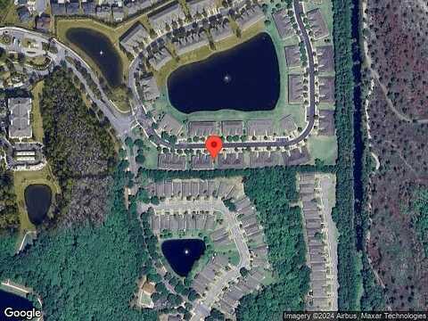 Surfbird, JACKSONVILLE, FL 32256
