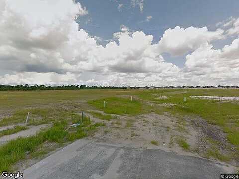 Snowy Plover, RIVERVIEW, FL 33579