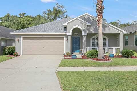 Gray Whetstone, BRANDON, FL 33511