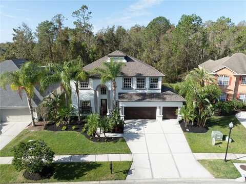 Loggerhead, WESLEY CHAPEL, FL 33544