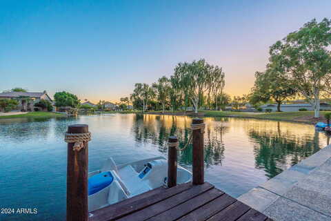 Camellia, CHANDLER, AZ 85248