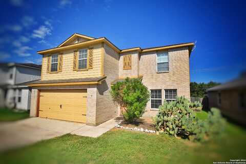 Torch Lily, SAN ANTONIO, TX 78260