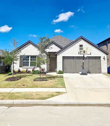 Agalinis, ROYSE CITY, TX 75189