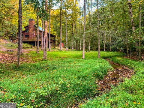 Azalea, ELLIJAY, GA 30536