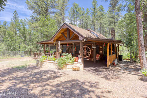 Brown Bear, PINETOP, AZ 85935