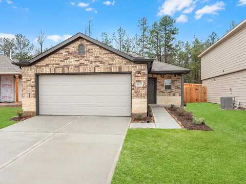 Levine, MONTGOMERY, TX 77316