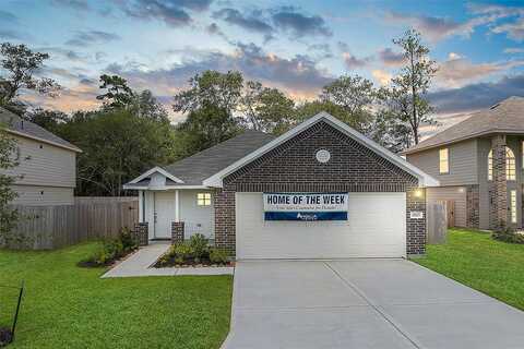 Lionheart, CONROE, TX 77306