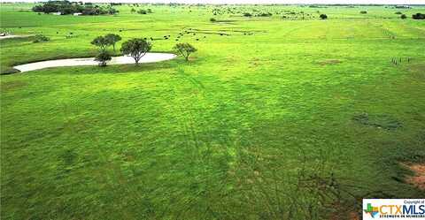 Lone Tree Road, Yoakum, TX 77995