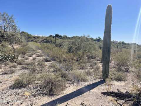 N Calle Colmado (Lot 4), Tucson, AZ 85718