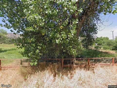 Loganberry, SQUAW VALLEY, CA 93675