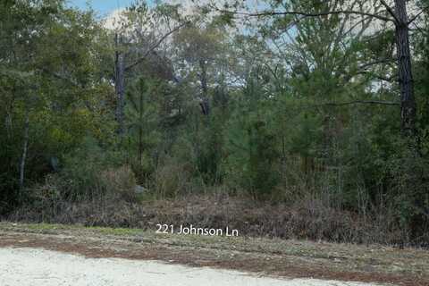 221 Johnson Lane, Freeport, FL 32439