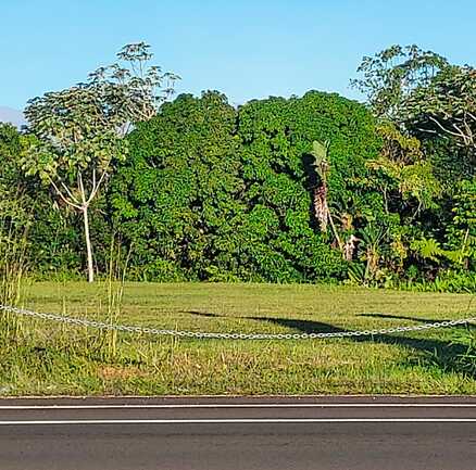 16-300 AINALOA BLVD, PAHOA, HI 96778