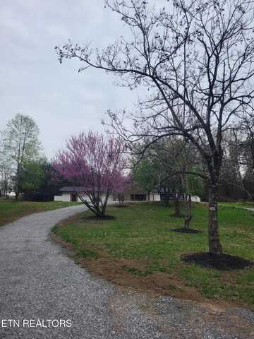1497 Clevenger Rd, New Market, TN 37820
