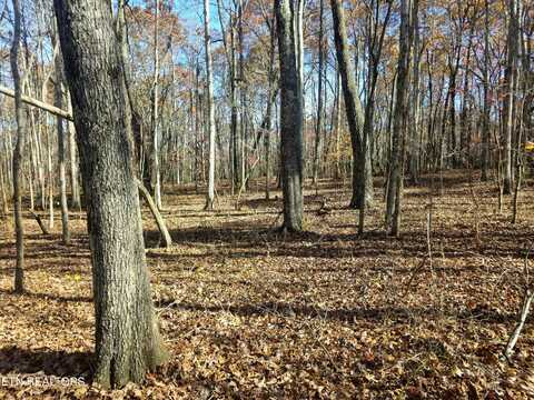 Baker Mountain Rd, Spencer, TN 38585
