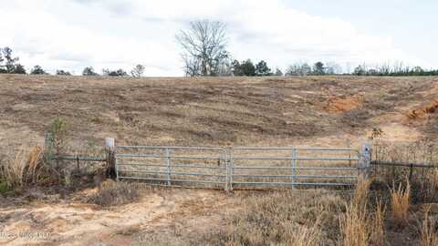 Ms-13 (44 Acres), Mendenhall, MS 39114