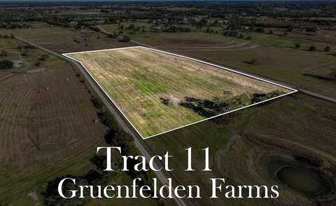 Tract 11 Brandt Road, Burton, TX 77835