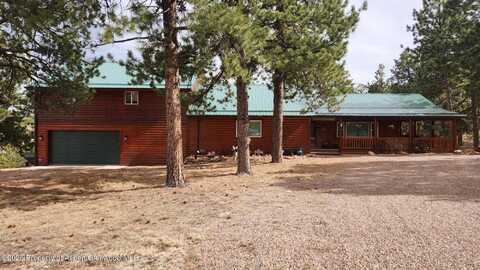 50 Shawnee Trail Trail, Westcliffe, CO 81252