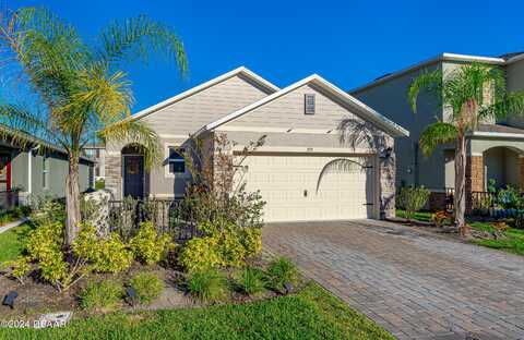 355 Caryota Court, New Smyrna Beach, FL 32168