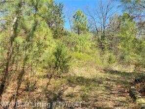 TBD N State Hwy 23, Booneville, AR 72927