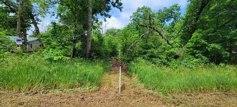 V/L Cherry Street, Baldwin, MI 49304
