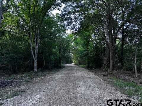 TRACT C 337 PRIVATE ROAD 8507, Van, TX 75790