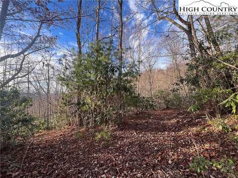 Lot 8 Stack Rock Road, Elk Park, NC 28604