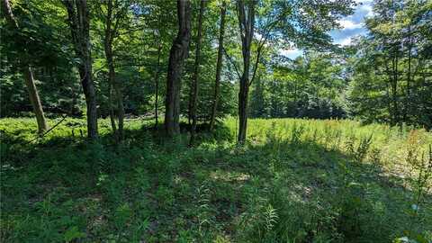 214 Larchwood Lane, Laurens, NY 13796