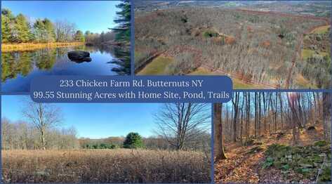 233 Chicken Farm Road, Butternuts, NY 13776