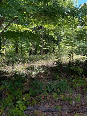 Roaring Creek Road, Dunlap, TN 37327