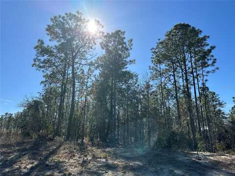 SW 87TH AVENUE, DUNNELLON, FL 34432