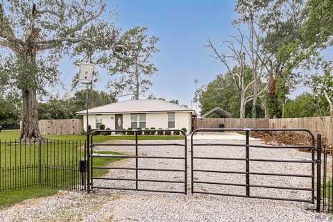 16463 Joe Sevario Rd, Prairieville, LA 70769